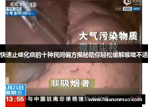 快速止咳化痰的十种民间偏方揭秘助你轻松缓解喉咙不适 快速止咳化痰的十种民间偏方揭秘助你轻松缓解喉咙不适